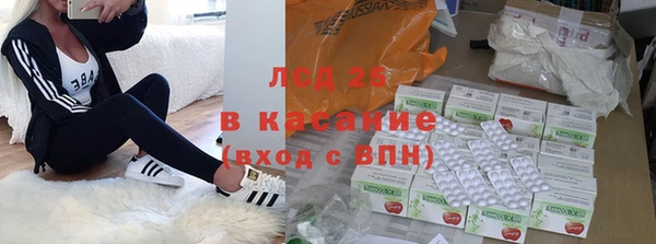 прущие грибы Абинск