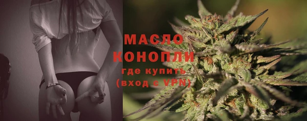 сатива Абаза