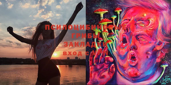 МДПВ Алексеевка