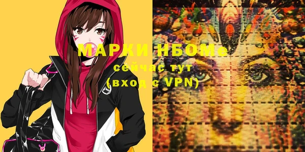 прущие грибы Абинск