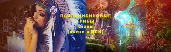 сатива Абаза